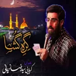 دانلود مداحی شب های دلتنگی گره گشا رضا نریمانی