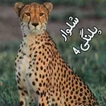 دانلود آهنگ شلوار پلنگی 4 دانلود آهنگ شلوار پلنگی 4