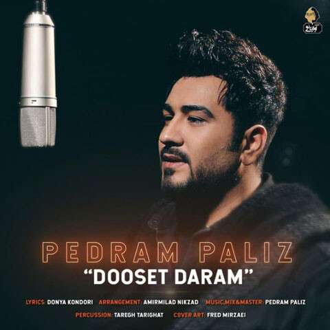 Pedram-Paliz-Dooset-Daram دانلود آهنگ پدرام پالیز دوست دارم