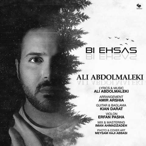 ali-abdolmaleki-bi-ehsas دانلود آهنگ علی عبدالمالکی بی احساس