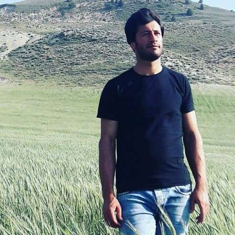 دانلود آهنگ دوسش دارم دیوونه وار میدونم میدونه هادی رحیمی