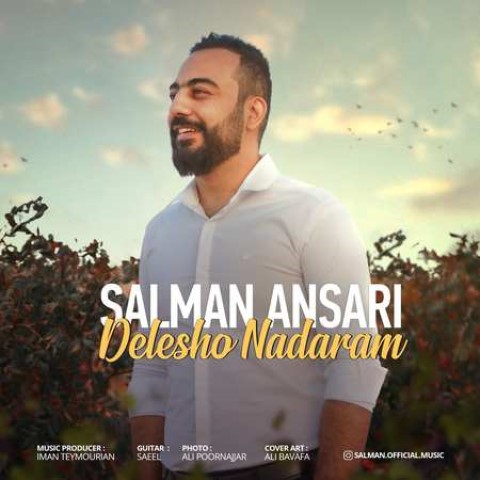 salman-ansari-delesho-nadaram دانلود آهنگ سلمان انصاری دلشو ندارم