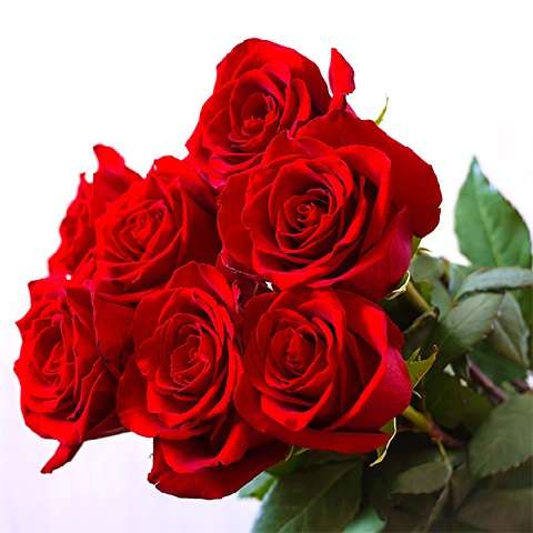 دانلود آهنگ دیگه بسه برگرد کنارم عزیزم آشتی آشتی نوش آفرین