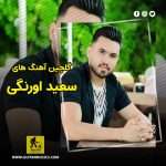 دانلود گلچین آهنگ های سعید اورنگی دانلود گلچین آهنگ های سعید اورنگی