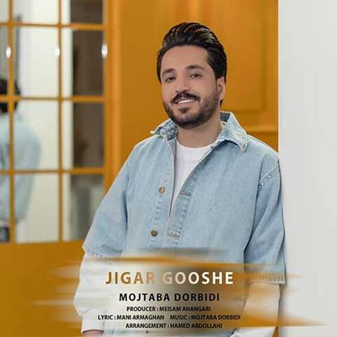 mojtaba-dorbidi-jigar-gooshe دانلود آهنگ مجتبی دربیدی جیگر گوشه