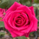 دانلود آهنگ میگفتی تویی که با من مهستی دانلود آهنگ میگفتی تویی که با من مهستی