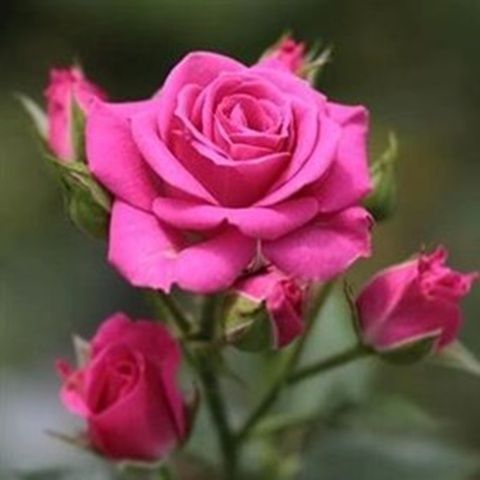 دانلود آهنگ مهستی طعنه