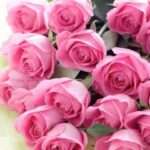 دانلود آهنگ تمام دنیا یک طرف مهستی
