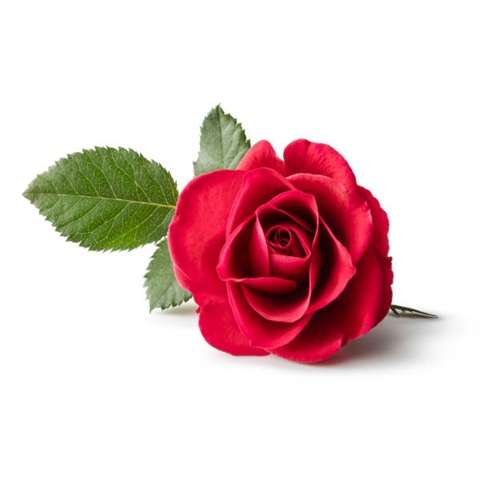 دانلود آهنگ یه شب دوباره سارن