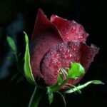 دانلود آهنگ ساختی ازم یه آدم بد سوگند