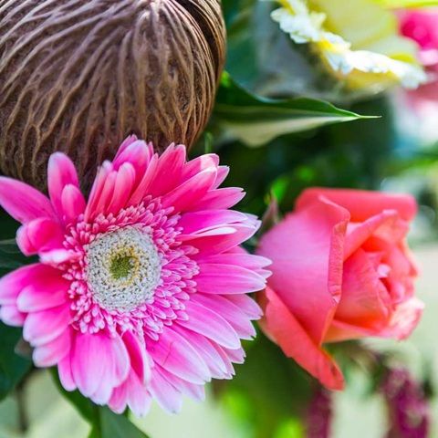 دانلود آهنگ نری دنبال مستی حمیرا