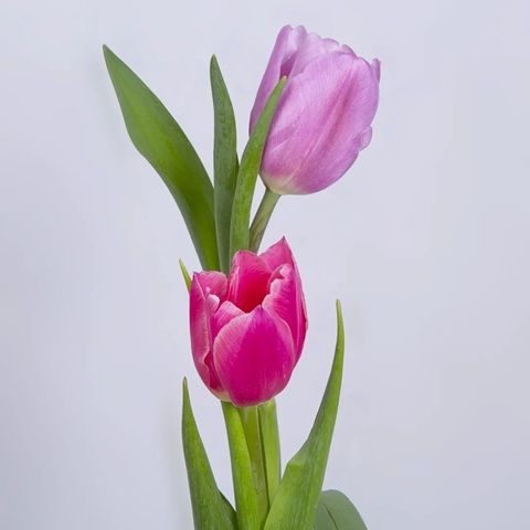 دانلود آهنگ هی دلمو میشکنی سوگند