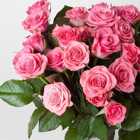 دانلود آهنگ سوگند یادته